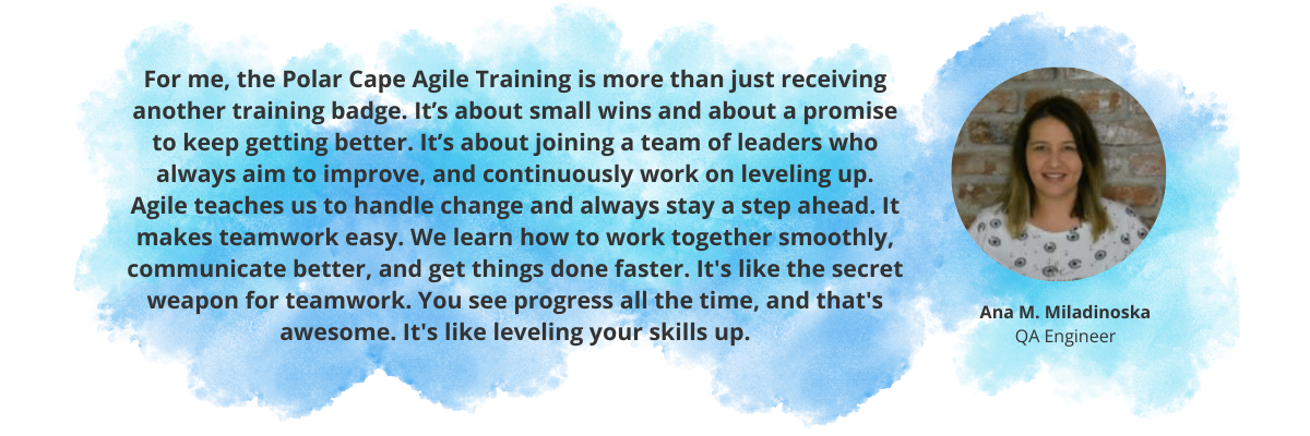 Quote about Agile training at Polar Cape